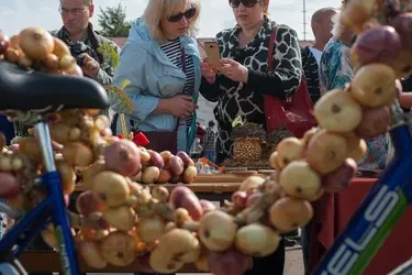 Жители Ивановской области выяснят, чья луковая коса длиннее