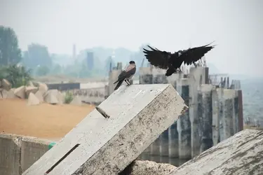В Кинешемском драмтеатре начались репетиции нового спектакля для подростков "Я – ворона"