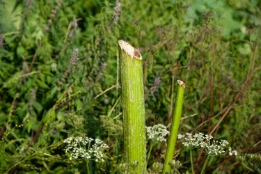 Экс-замначальника дептранса Ивановской области ответит по уголовной статье за махинацию с госконтрактом