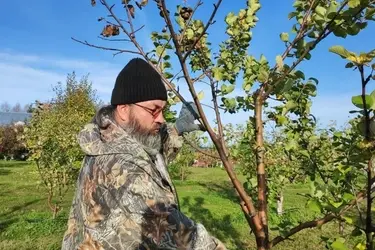 Николо-Шартомский монастырь готовит яблоневый сад к холодам