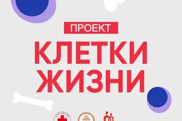 Ивановские волонтеры-медики запускают проект "Клетки жизни"