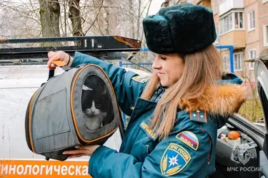 В Иванове сотрудница МЧС спасла жизнь кошке и собаке, у которых умер хозяин