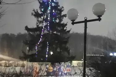 Жители Ново-Талиц пожаловались на "страшную елку"
