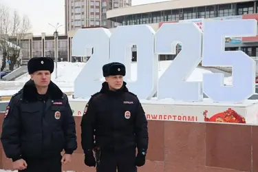 В Ивановской области в новогоднюю ночь произошло 2 бытовых конфликта и кража водки из магазина