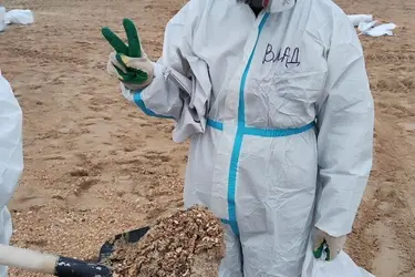 Студенты Ивановского политеха собираются неделю очищать берег Черного моря от мазута