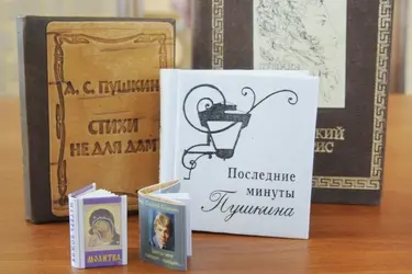 Ивановцы отправили книги русских классиков в Запорожскую область