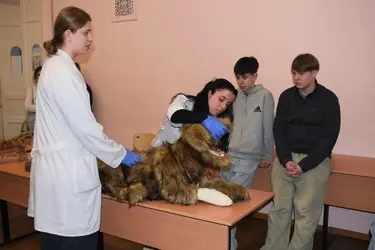 В Кинешме прошла профориентационная выставка