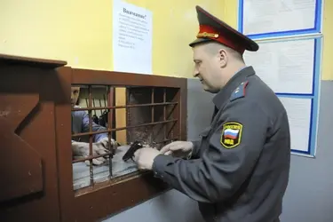 Подросток-закладчик наркотиков предстанет перед судом в Ивановской области