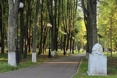 Два льва из парка Шуи стали памятниками