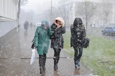 Ивановскую область накроет ураганный ветер с порывами до 19 м/с