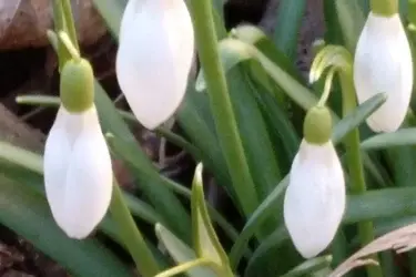 В Ивановской области 15 апреля термометры покажут от 13 до 18 градусов тепла