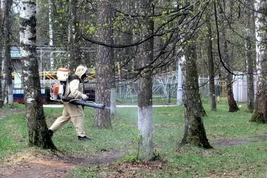 Территории городских парков Иванова обработаны от клещей