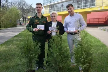 В Иванове высадили аллею в честь работников цирка – участников Великой Отечественной войны