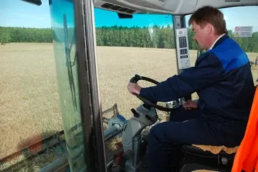 Ивановским аграриям возместили часть затрат на выращивание зерновых культур