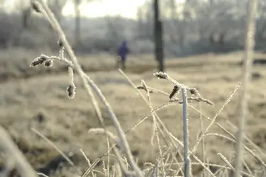 В Ивановской области объявили оранжевый уровень опасности из-за заморозков