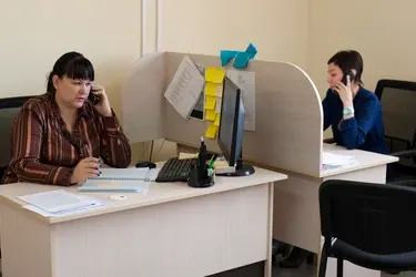 Ивановцы 200 раз спросили Роспотребнадзор про клещей и обработку парков от них