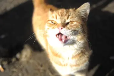 "Майский день" просит поделиться стройматериалами