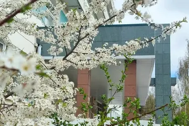 Майская активность детей увеличила нагрузку на ивановских травматологов