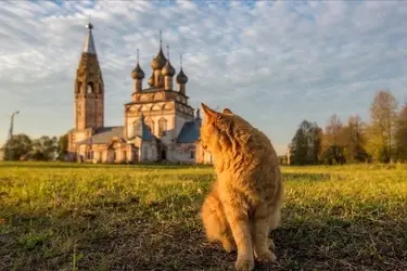 Храм Иоанна Предтечи в Парском в лидерах туристической премии Russian Traveler Awards 2025
