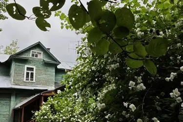 Музей Бубновых зовет школьников на экологическую сказку на свежем воздухе