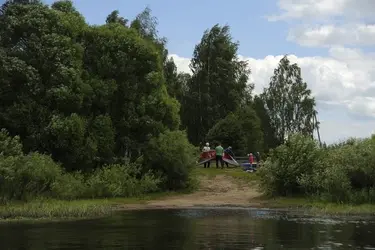 Клещи покусали 1440 жителей Ивановской области