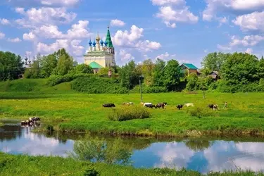 Церковь Рождества Богородицы в Горицах Шуйского района законсервируют