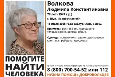 В Ивановской области пенсионерка в клетчатой рубашке потерялась в лесу под Шуей