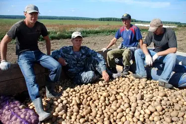 В Ивановской области фермеры уже получили 507 млн рублей в 2025 году