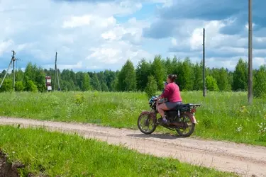 Клещи потеряли интерес к жителям Ивановской области