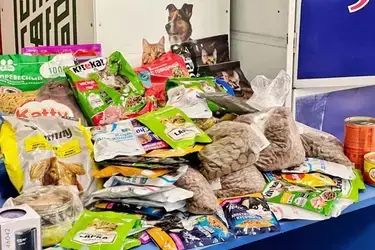 "Коробки добра" в Вичуге собрали за месяц 50 кг корма для приюта