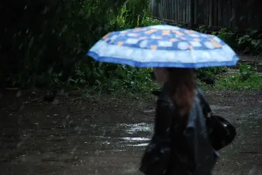 В ближайшие сутки в Ивановской области пройдет грозовой дождь