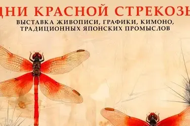 В Палехе - фестиваль японской культуры "Дни Красной Стрекозы" (6+)