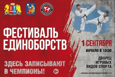 1 сентября в Иванове пройдет VIII Фестиваль единоборств