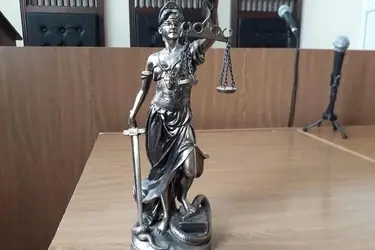 Тейковская администрация ответит за бродячих собак