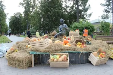 Кинешемцы соберут овощи для суповых наборов бойцам СВО