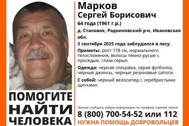 В Палехском лесу заблудился 64-летний грибник с велосипедом