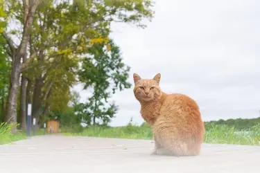 Четыре хороших новости недели в Ивановской области