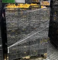 Партия лисичек из Ивановской области отправилась в Сербию