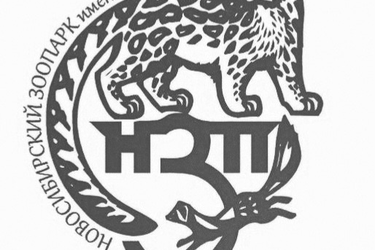 Ивановский зоопарк поддержал пострадавший от пожара зоопарк в Новосибирске