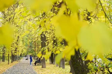 Как победить осеннюю хандру