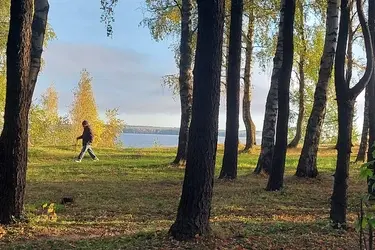 Ходоки из Пучежа проходят по 15 000 шагов в день