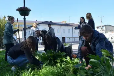 В акции "Зеленая Россия" поучаствовали более 12 000 жителей Ивановской области
