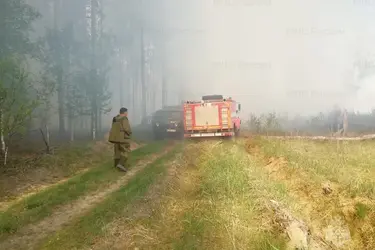 В ряде районов Ивановской области 12 октября прогнозируется высокая пожароопасность