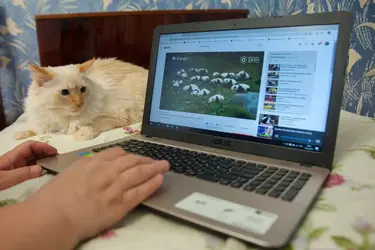 У более 20% ивановцев есть подработка