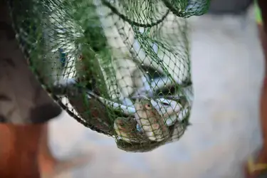 В Пучежском районе полиция задержала женщину за браконьерство на Ячменке