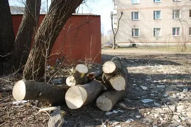 В Иванове рабочие убрали навалы мусора и веток на Большой Воробьевской и Почтовой