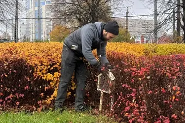 В Иванове появились гостиницы для насекомых