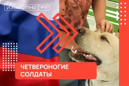 Алабаи передовой