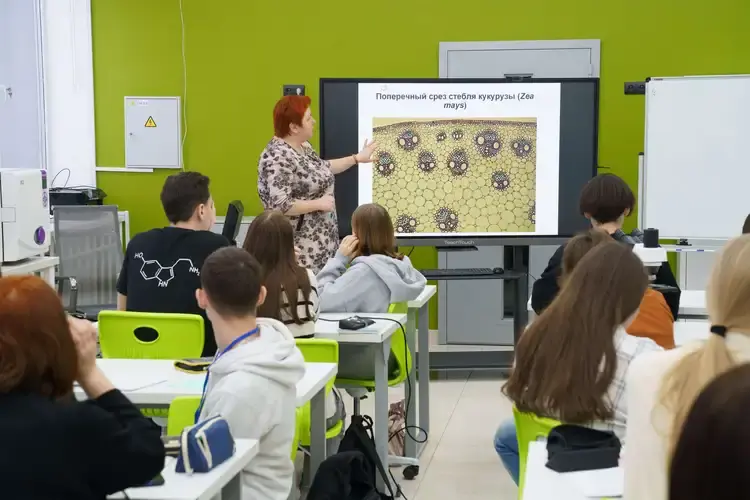 Миновал год с тех пор, как в Иванове начал работу образовательный центр "Солярис". Он создан для развития интеллектуального и творческого потенциала школьников Ивановской области. 