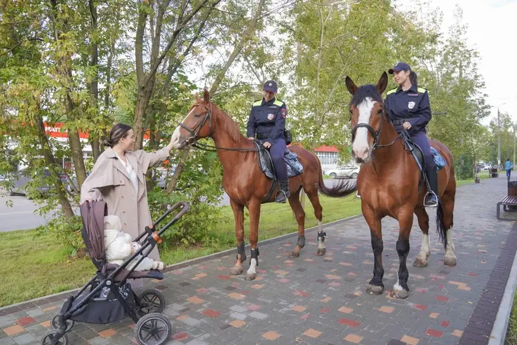 Как Боярин, Рейдер и Партос и другие помогают охранять порядок на улицах Иванова